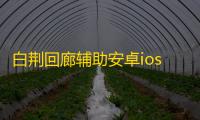 白荆回廊辅助安卓ios脚本 白荆回廊硬核半塔防游戏